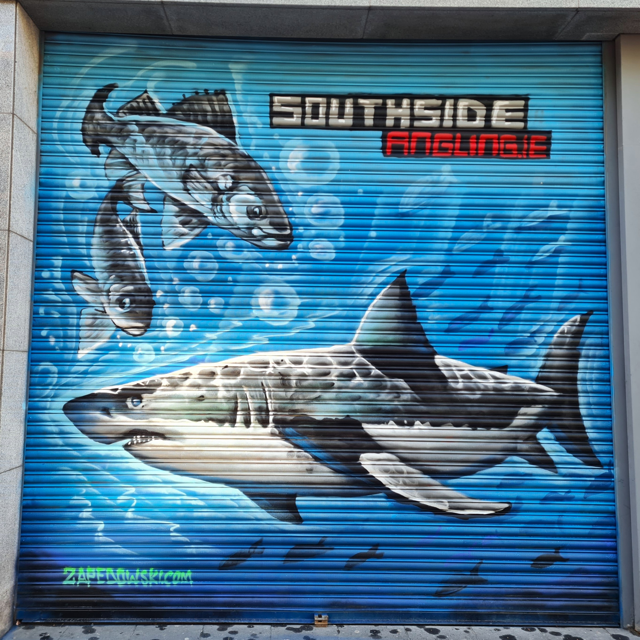 Colourful angling-themed wall mural painted for a Dublin fishing supplies shop by ZAP Art
