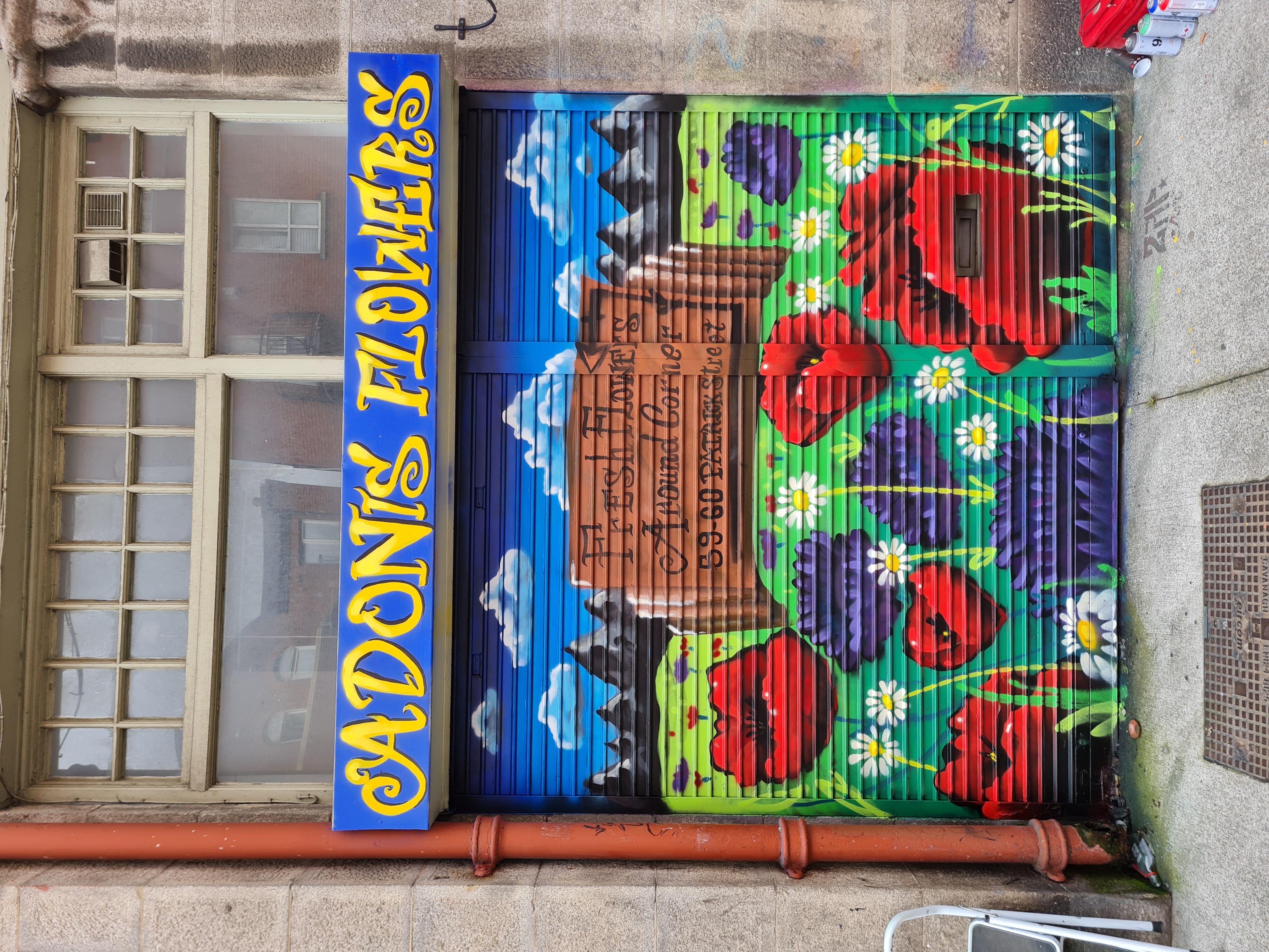 Colourful floral mural painted for a Dublin florist shop by ZAP Art showcasing the range of mural painting services