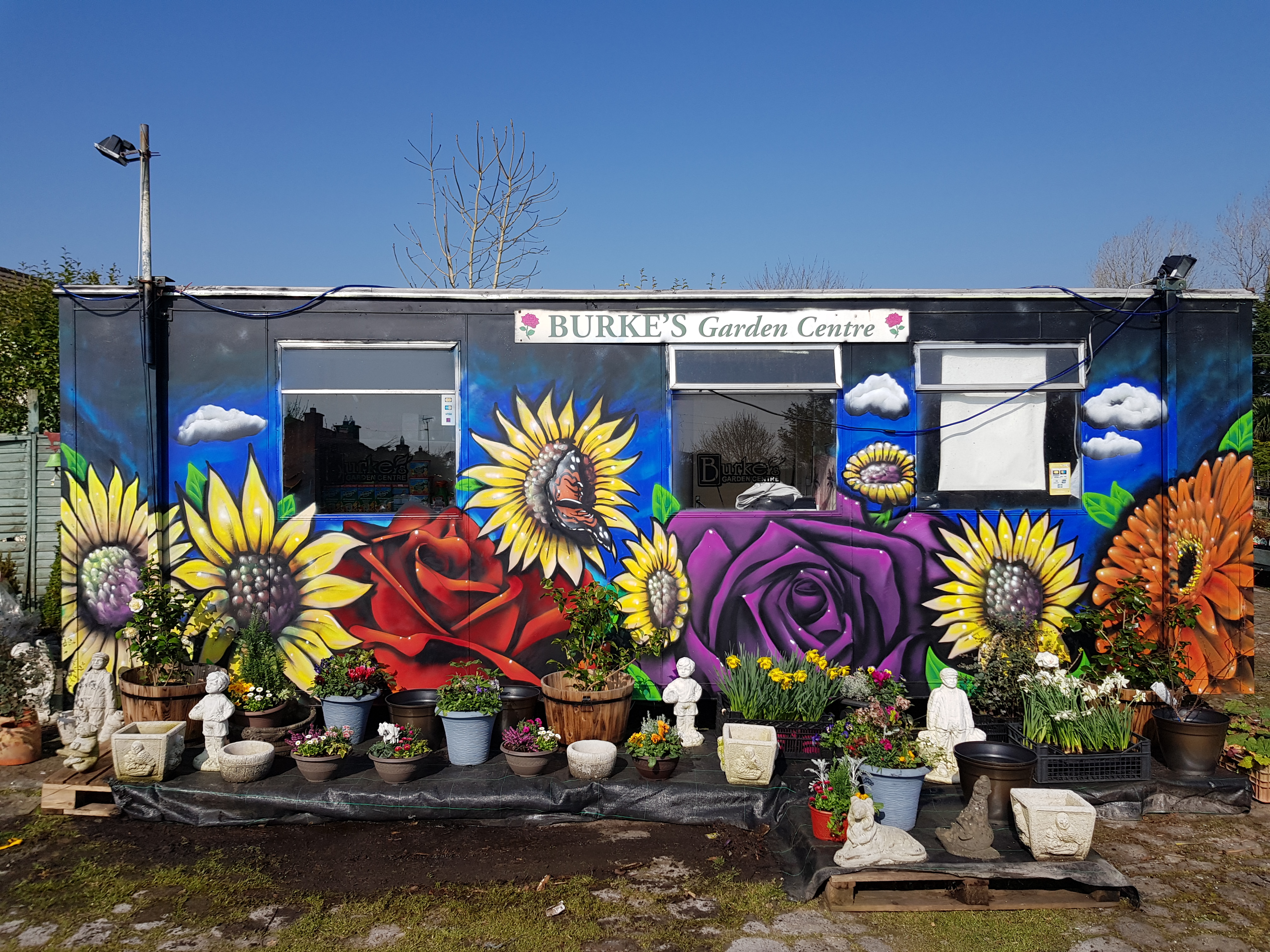 Vibrant sunflower and rose mural painted on Burke's Garden Centre in Dublin by ZAP Art