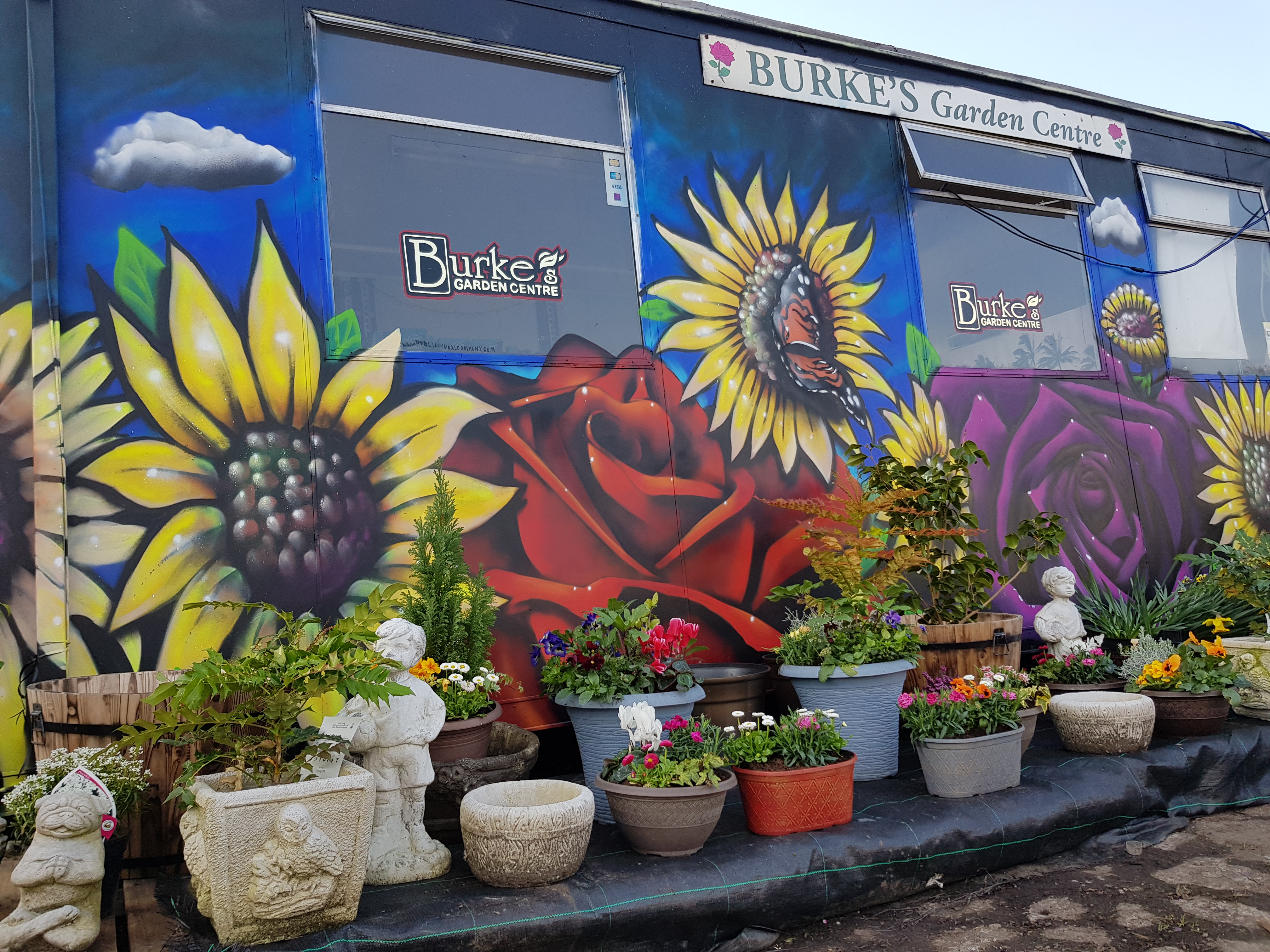 Expansive floral and plant mural spanning the full wall of a Dublin garden centre by ZAP Art