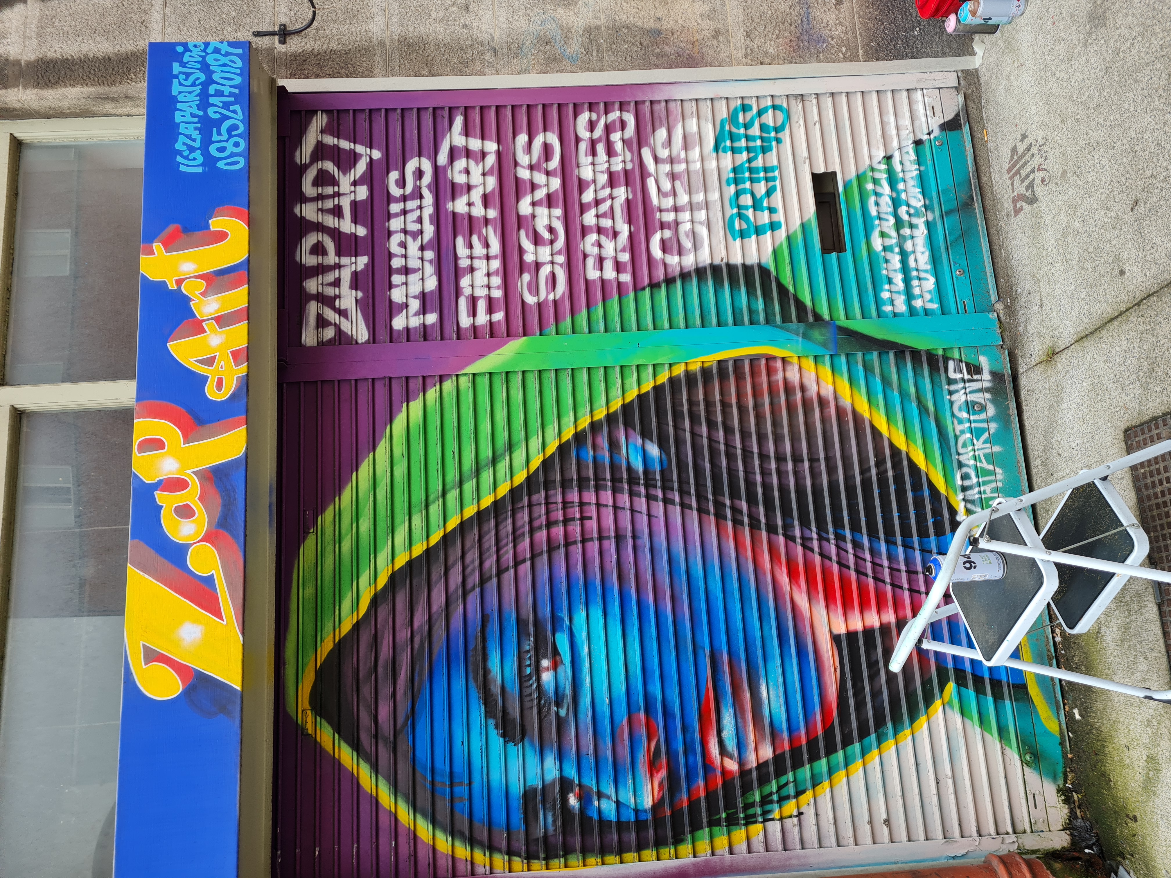 ZAP Art branded mural showcasing the signature style of Dublin mural artist Marcin Zapedowski
